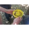 FLY BALL παγίδα εντόμων, μύγας Μεσογείου , μυγοπαγίδα