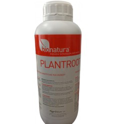 PLANTROOT 1L