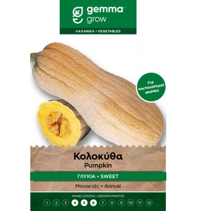 Κολοκύθα γλυκιά 12695