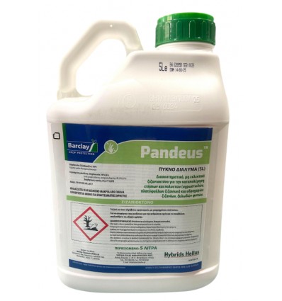 Pandeus 36 SL 5Lt