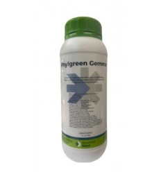 Phylgreen gemma 1 Lt