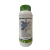 Phylgreen gemma 1 Lt